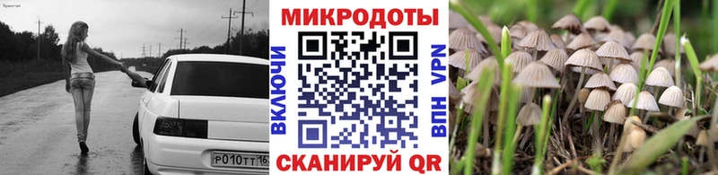 Купить  Макаров  Галлюциногенные грибы GOLDEN TEACHER 